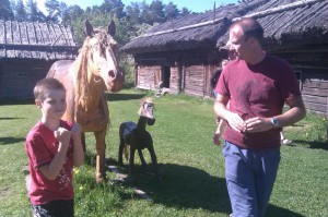 2011_aland_050