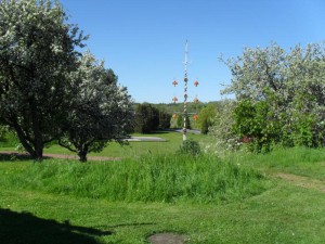 2011_aland_102